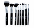 Kit brochas Lula X10