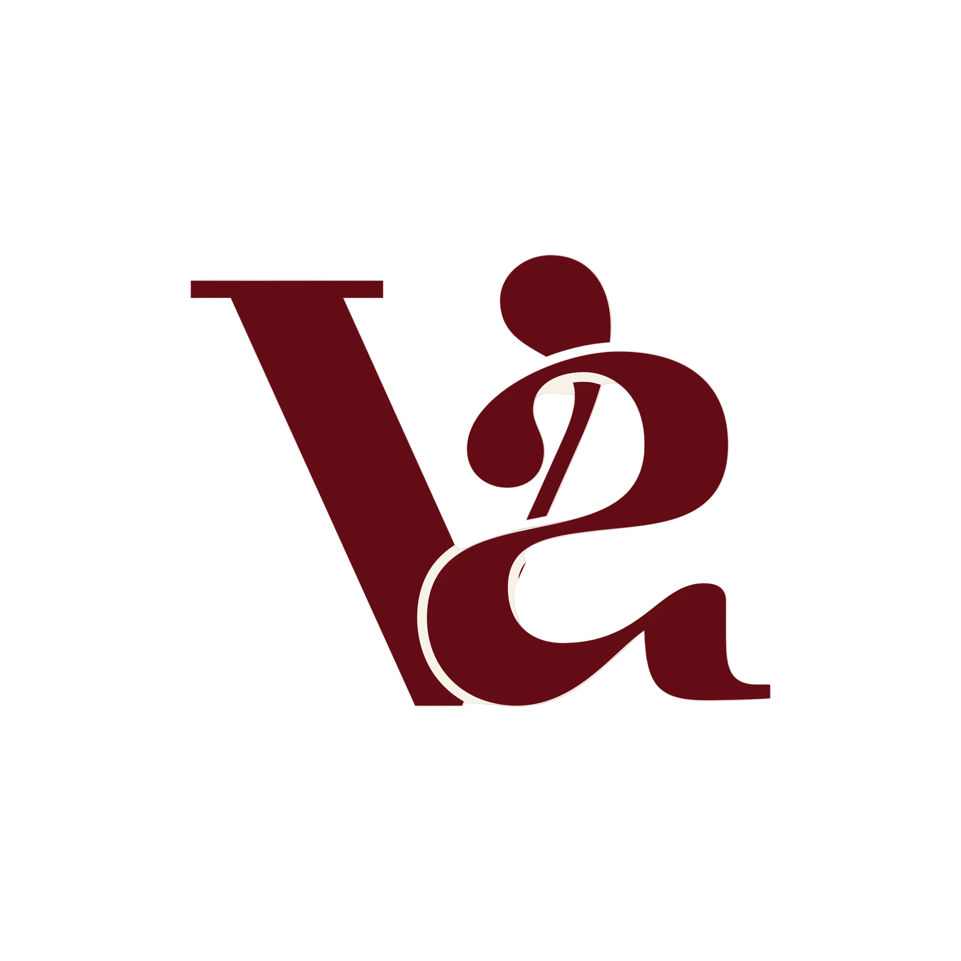 VANITY BEAUTY
